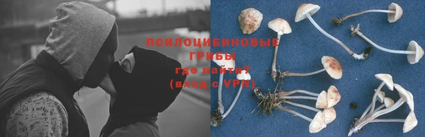 ECSTASY Беломорск