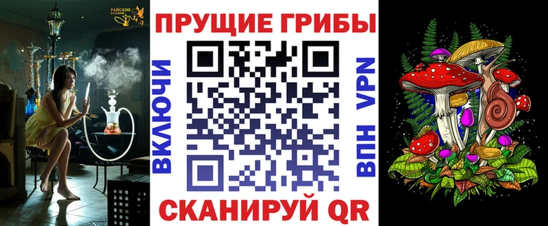 Галлюциногенные грибы Psilocybe  купить наркоту  Окуловка 